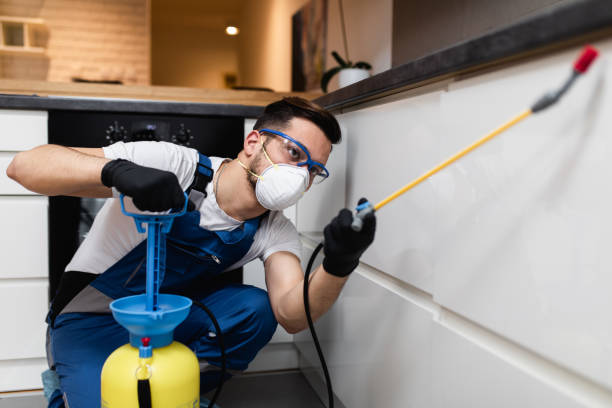 Best Exterminator Services  in Orange, TX