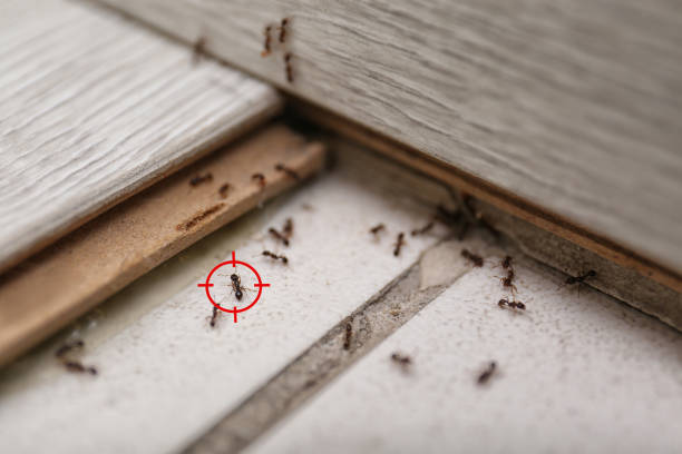 Wildlife Control Services in Orange, TX