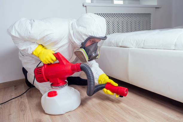 Best Best Pest Control Companies  in Orange, TX