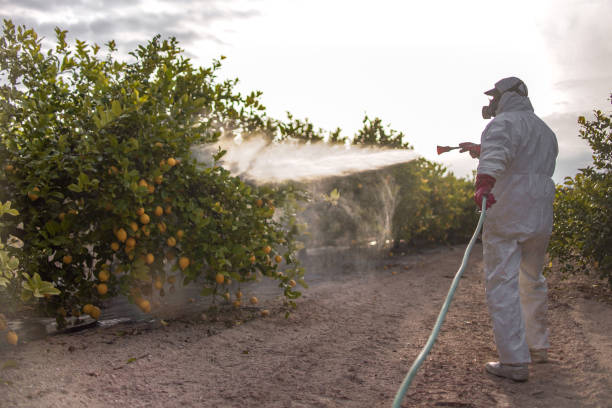 Pest Control for Restaurants in Orange, TX