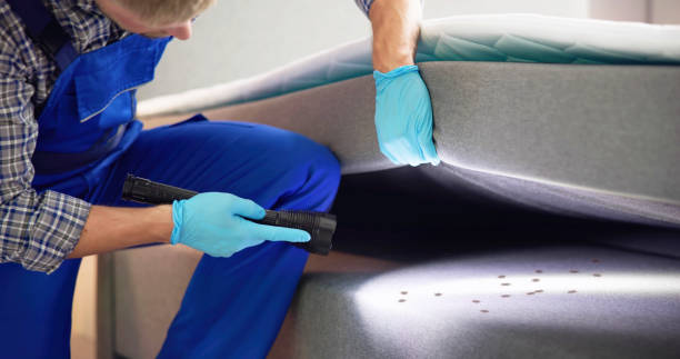 Best Pest Control Near Me  in Orange, TX