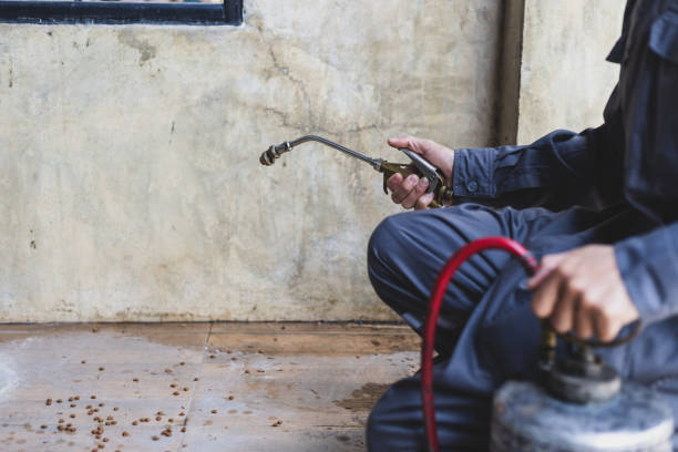 Professional Pest Control in Orange, TX